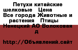 Петухи китайские шелковые › Цена ­ 1 000 - Все города Животные и растения » Птицы   . Ненецкий АО,Волоковая д.